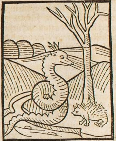 Datei:Igel und Natter (Druck 1490, 20v).jpg