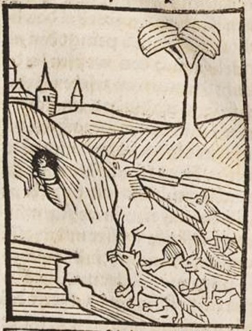 Datei:Ameise und Fuchs (Druck 1490, 11r).jpg