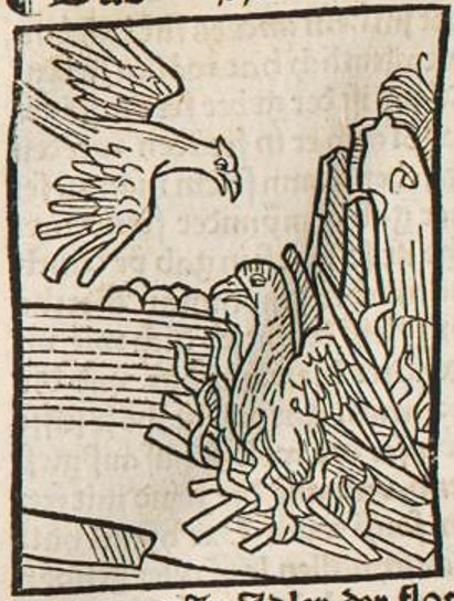 Datei:Adler und Phönix (Druck 1490, 94v).jpg