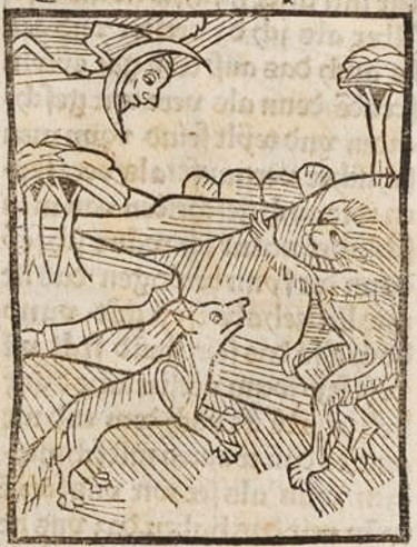 Datei:Fuchs und Affe I (Druck 1490, 10r).jpg