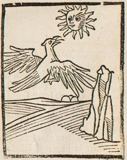 Datei:Adler und Sonne (Druck 1490, 3v).jpg