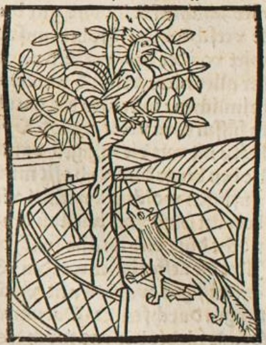 Datei:Fuchs und Hahn (Druck 1490, 44v).jpg