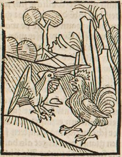 Datei:Hahn und Rabe (Druck 1490, 60r).jpg