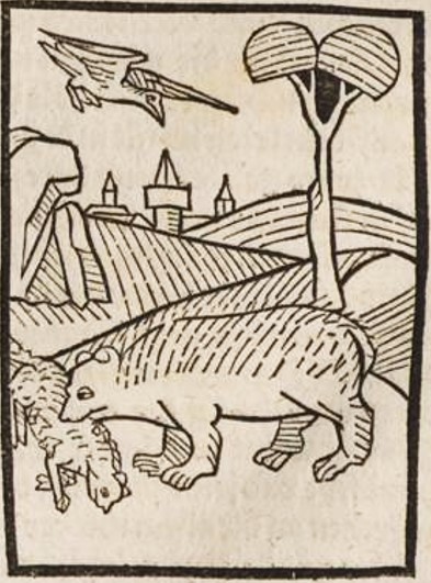 Datei:Bär und Taube (Druck 1490, 24r).jpg