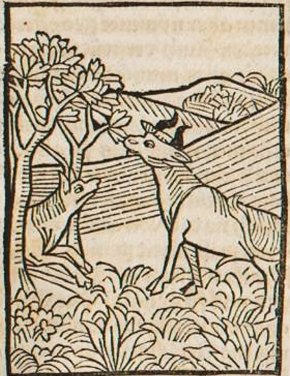 Datei:Ochse und Wolf II (Druck 1490, 86r).jpg