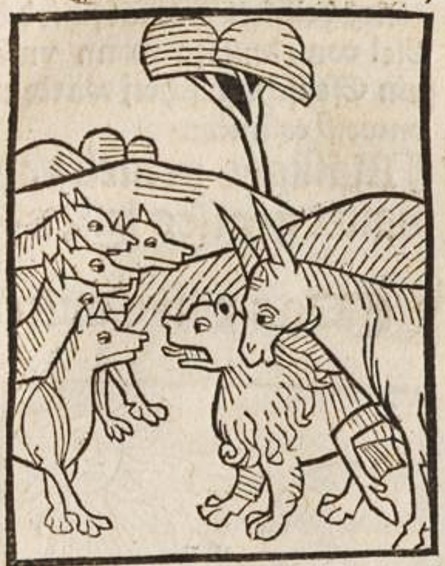Datei:Löwe, Esel und Wölfe (Druck 1490, 18r).jpg