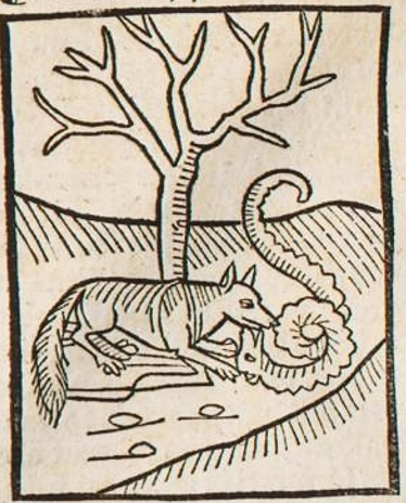 Datei:Fuchs und Schlange (Druck 1490, 25v).jpg