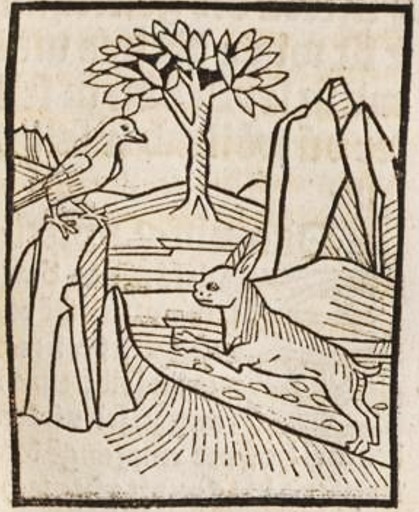 Datei:Spatz und Biene (Druck 1490, 36r).jpg