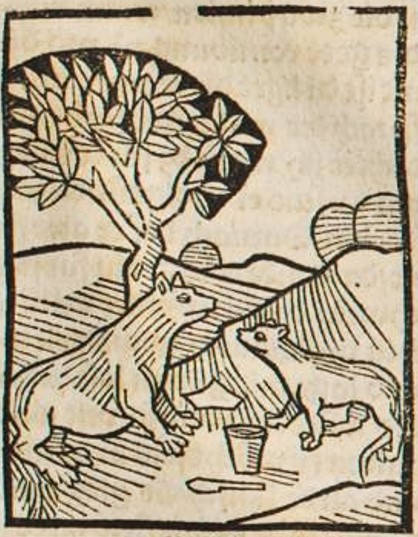 Datei:Fuchs, Wiesel und Schwein (Druck 1490, 102r).jpg