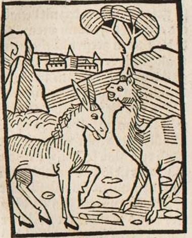 Datei:Maulpferd und Maulesel (Druck 1490, 50r).jpg