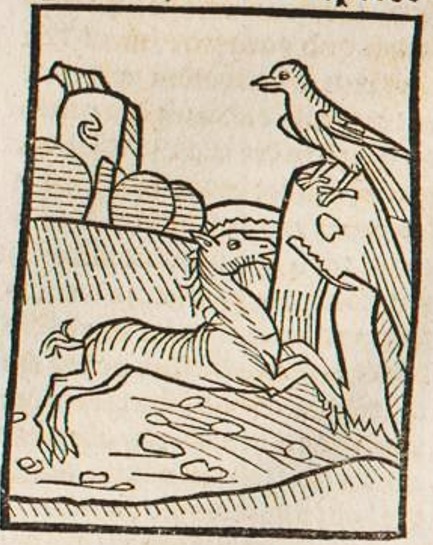 Datei:Einhorn und Rabe (Druck 1490, 48r).jpg
