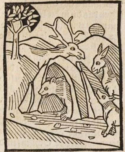 Datei:Bär, Fuchs und Hirschkuh (Druck 1490, 40r).jpg