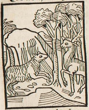 Datei:Schaf und Hirsch (Druck 1490, 37v).jpg