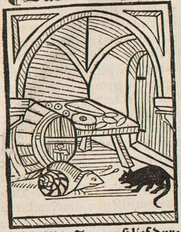 Datei:Maus und Schnecke (Druck 1490, 8v).jpg