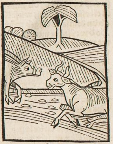 Datei:Ochse und Schwein (Druck 1490, 12v).jpg