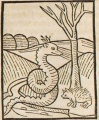 Igel und Natter (Druck 1490, 20v)