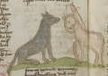 Ochse und Wolf I (MS 653, 177v)