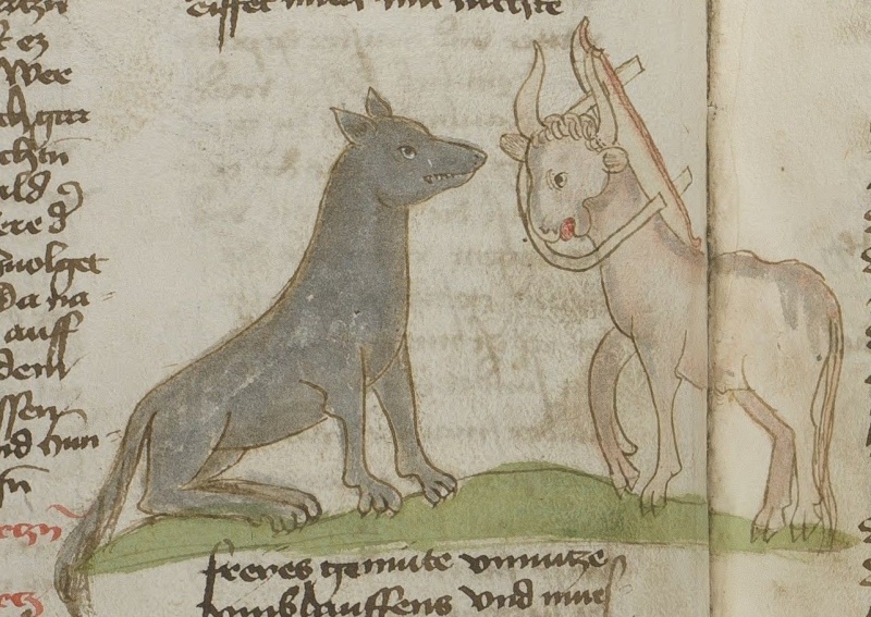 Datei:Ochse und Wolf I (MS 653, 177v).jpg