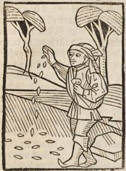Datei:Weizenkorn und Stein (Druck 1490, 23r).jpg