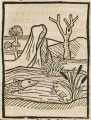 Fosch und Aal (Druck 1490, 46r)