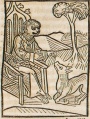 Affe und Fuchs II (Druck 1490, 76r)