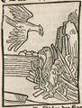 Adler und Phönix (Druck 1490, 94v)