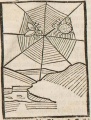 Spinne und Fliege (Druck 1490, 7v)