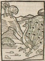 Pfau und Igel (Druck 1490, 51v)