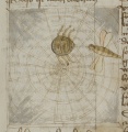 Spinne und Fliege (MS 653, 168r)