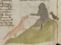 Rabe, Fuchs und Affe (MS 653, 164v)