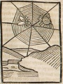Biene und Spinne (Druck 1490, 85r)
