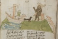 Affe, Rabe, Schiffer und Fuchs (MS 653, 202r)