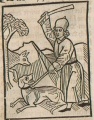 Hund und Wolf I (Druck 1490, 96v)