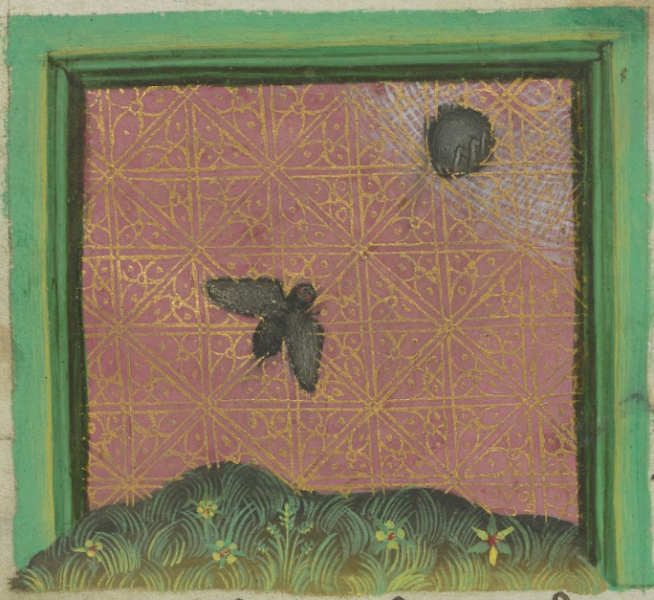 Datei:Spinne und Fliege (MS Egerton 1121, 8v).png