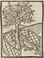 Fuchs und Hahn (Druck 1490, 44v)