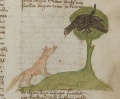 Wissbegieriger Fuchs und Rabe (MS 653, 163r)