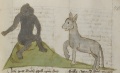 Affe und Waldesel (MS 653, 232r)