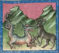 Drache und Hyäne (Cgm 254, 55r)