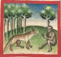 Affe und Fuchs I (Cgm 254, 39v)