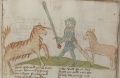 Pferd und Maulesel (MS 653, 201r)