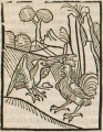 Hahn und Rabe (Druck 1490, 60r)