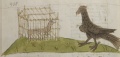 Rabe und Nachtigall (MS 653, 228v)