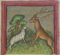 Schaf und Hirsch (MS Egerton 1121, 52v)