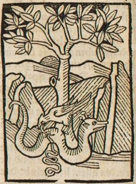 Datei:Krokodil und Vogel Scrophil (Druck 1490, 66v).jpg