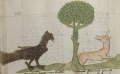 Rabe und Fuchs I (MS 653, 229v)