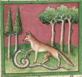 Fuchs und Schlange (Cgm 254, 19r)