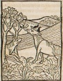 Ochse und Wolf II (Druck 1490, 86r)