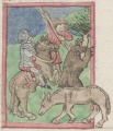 Pferd und Maulesel (Cgm 9602, 30v)