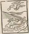 Scheintoter Fuchs und Rabe (Druck 1490, 6v)