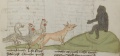 Affe und Fuchs I (MS 653, 221r)